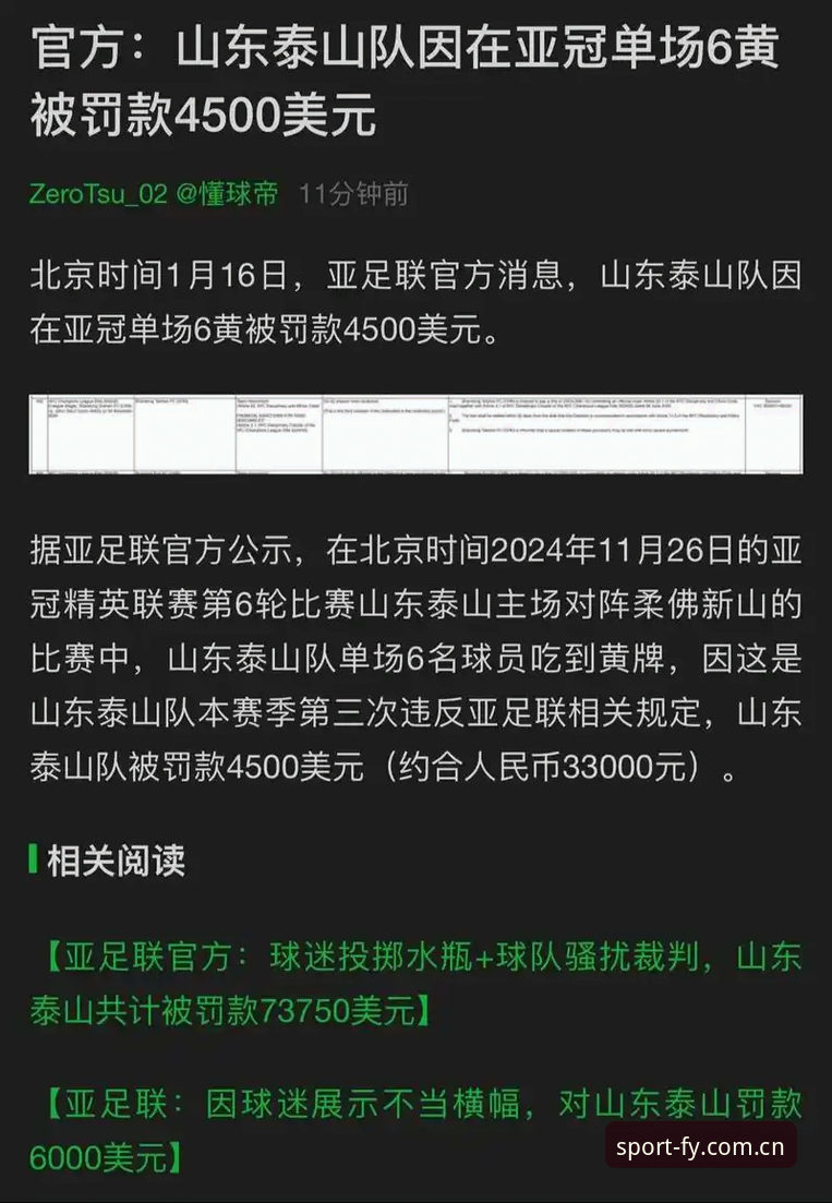 5大核心维度解析足协第三批禁足名单：飞亚体育App用户黄磊深度复盘行业洗牌
